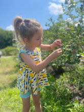 Load image into Gallery viewer, Life gives you lemons