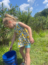 Load image into Gallery viewer, Life gives you lemons